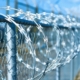 fence-barbed-wire-boundary-border-prison-restricted-area-area-stockpack-pixabay.jpg fence, barbed wire, boundary, border, prison, restricted area, area