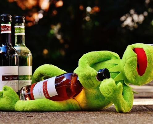 kermit-frog-wine-drink-alcohol-drunk-relax-to-sit-figure-fun-frogs-animal-plush-stuffed-animal-france-spain-germany-wine-bottle-stockpack-pixabay.jpg kermit, frog, wine, drink, alcohol, drunk, relax, to sit, figure, fun, frogs, animal, plush, stuffed animal, france, spain, nature, germany, wine bottle