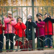xinjiang, kids, street, children, asian, china, outdoors, fence, xinjiang, xinjiang, xinjiang, xinjiang, xinjiang