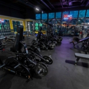 Stay Fit Palas