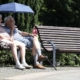 bank-park-bench-relax-to-sit-seating-resting-place-wooden-bench-sun-people-old-few-lovingly-pension-pensioners-eventide-umbrella-parasol-stockpack-pixabay.jpg bank, park bench, nature, relax, to sit, seating, resting place, wooden bench, sun, people, old, few, lovingly, pension, pensioners, eventide, umbrella, parasol