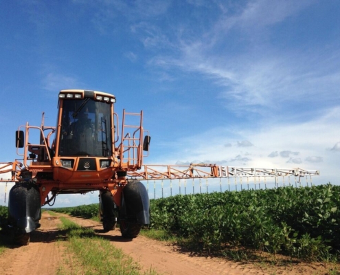 poison, spray, agriculture, insecticide, pesticides, insect, pests, liquid, insecticide, insecticide, pesticides, pesticides, pesticides, pesticides, pesticides