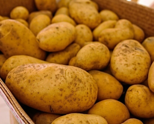 potatoes-vegetables-food-raw-unpeeled-vegetarian-grocery-sale-brown-grocery-brown-sales-brown-groceries-stockpack-pixabay.jpg potatoes, vegetables, food, raw, unpeeled, vegetarian, grocery, sale, brown grocery, brown sales, brown groceries