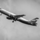 the-plane-boeing-aeroflot-black-white-stockpack-pixabay.jpg the plane, boeing, aeroflot, black white, aeroflot, aeroflot, aeroflot, aeroflot, aeroflot
