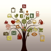 tree, structure, networks, internet, network, social, social network, logo, tiktok, facebook, google, social networking, networking, social media, icon, website, presentation, nature, multimedia