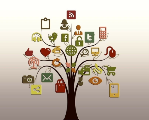 tree, structure, networks, internet, network, social, social network, logo, tiktok, facebook, google, social networking, networking, social media, icon, website, presentation, nature, multimedia