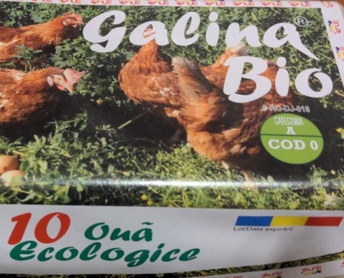 Galina Bio