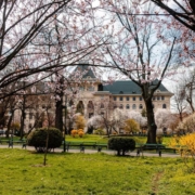 Primaria_Bucuresti_FB