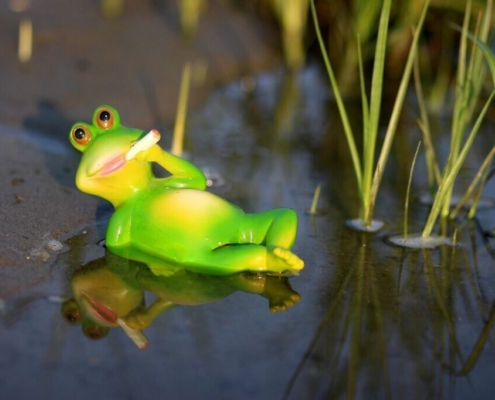 frog-water-lazy-green-cigarette-stockpack-pixabay.jpg frog, water, nature, lazy, green, cigarette