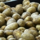 potatoes, vegetables, market stall, food, produce, organic, heap, market, closeup