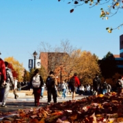 university-of-connecticut-storrs-stockpack-unsplash.jpg University of Connecticut, Storrs