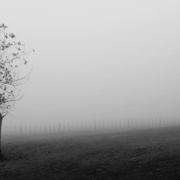 wake-me-up-when-september-ends-green-day-stockpack-unsplash.jpg "Wake me up when September ends." - Green Day.