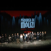 Pădurea de molizi