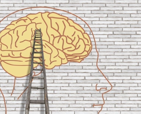 brain-psychology-think-thought-wall-ladder-science-psychiatry-teaching-central-psychic-rethinking-change-stockpack-pixabay.jpg brain, psychology, think, thought, wall, ladder, science, psychiatry, teaching, central, psychic, rethinking, change, brain, brain, ladder, ladder, ladder, ladder, ladder, psychiatry, psychiatry, psychiatry, psychiatry, psychic, psychic, psychic, change