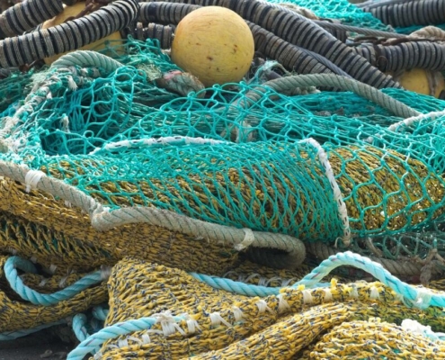 fishing nets, nature, fish, meshes of nets, fishing, traditional fishing, mesh, sea, trawler, port, marin, boat, colors, fisherman, navigation, float, fish fillets