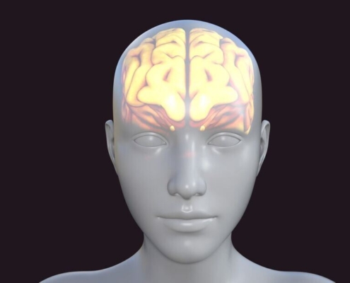 human, brain, avatar, biology, thoughts, knowledge, person, head, think, thinking, human brain, mind, brain, brain, brain, brain, human brain, human brain, human brain, human brain, human brain