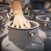 milk-cows-milk-dairy-fresh-food-cow-farm-yard-agriculture-nourishment-milk-can-direct-marketing-stockpack-pixabay.jpg milk, cow's milk, dairy, fresh, food, cow, farm yard, agriculture, nourishment, milk can, direct marketing, milk, milk, milk, milk can, milk can, milk can, milk can, milk can, direct marketing