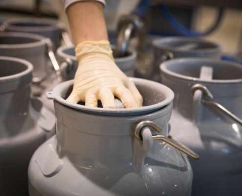 milk-cows-milk-dairy-fresh-food-cow-farm-yard-agriculture-nourishment-milk-can-direct-marketing-stockpack-pixabay.jpg milk, cow's milk, dairy, fresh, food, cow, farm yard, agriculture, nourishment, milk can, direct marketing, milk, milk, milk, milk can, milk can, milk can, milk can, milk can, direct marketing