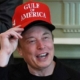 musk-tw3