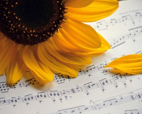 sunflower, summer songs, choir, sheet music, summer concert, autumn songs, music, songs, concert, to sing, notenblatt, birthday song, teacher gradebook, grades, make music, petals, choir, choir, choir, choir, choir