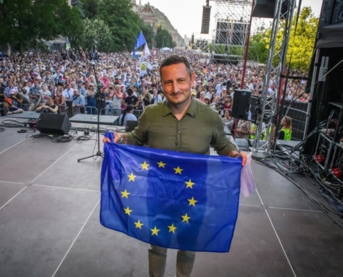 Nicu Stefanuta MEP