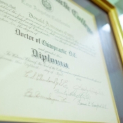 a-framed-diploma-with-a-gold-seal-on-it-stockpack-unsplash.jpg