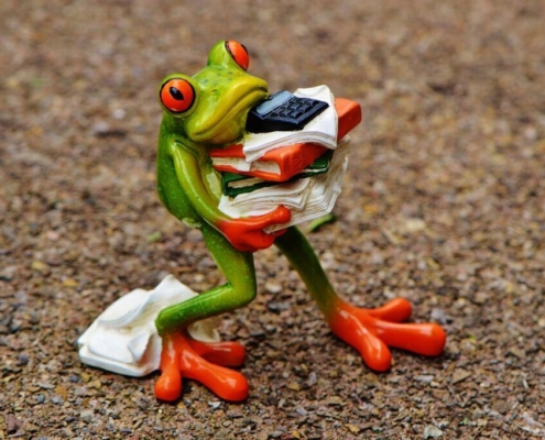 frog-figure-files-stack-pile-of-files-office-decoration-green-animal-fun-cute-ceramic-calculator-office-work-work-stress-stockpack-pixabay.jpg frog, figure, nature, files, stack, pile of files, office, decoration, green, animal, fun, cute, ceramic, calculator, office work, work, stress