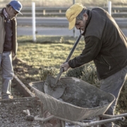 job-people-effort-men-business-worker-shovel-builder-jornal-stockpack-pixabay.jpg job, people, effort, men, business, worker, shovel, builder, jornal, effort, shovel, shovel, builder, builder, builder, builder, builder