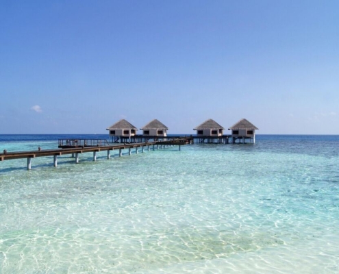 maldive-islands-beach-day-off-ocean-sand-water-blue-sky-stockpack-pixabay.jpg maldive islands, beach, day off, ocean, blue sky, sand, nature, water, blue, sky