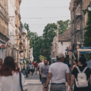 people-walking-on-street-during-daytime-stockpack-unsplash.jpg