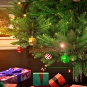 christmas, christmas tree, gifts, holiday, presents, christmas, christmas, christmas, christmas tree, christmas tree, christmas tree, christmas tree, christmas tree