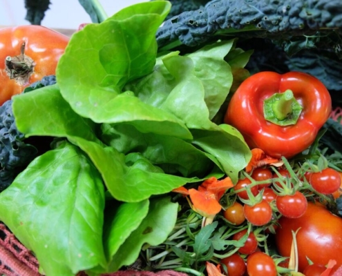 food, vegetable, in good health, fruit, tomato