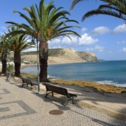 plan tree, nature, algarve, beach