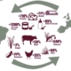 Mercosur UE acord