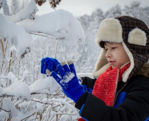boy-winter-portrait-hat-kids-russian-slavs-siberia-baby-snow-forest-branches-snowballs-game-stockpack-pixabay.jpg boy, winter, portrait, hat, kids, russian, nature, slavs, siberia, baby, snow, forest, branches, snowballs, game