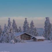 house-winter-snow-trees-village-cold-wintry-fog-outdoors-mountain-landscape-countryside-nature-stockpack-pixabay.jpg house, winter, snow, trees, village, cold, wintry, fog, outdoors, mountain, landscape, countryside, nature, house, house, winter, winter, winter, winter, winter, snow, snow, snow, village