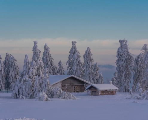 house-winter-snow-trees-village-cold-wintry-fog-outdoors-mountain-landscape-countryside-nature-stockpack-pixabay.jpg house, winter, snow, trees, village, cold, wintry, fog, outdoors, mountain, landscape, countryside, nature, house, house, winter, winter, winter, winter, winter, snow, snow, snow, village