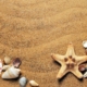 seashells-sand-beach-sea-coast-flat-lay-background-wallpaper-starfish-shells-nature-shore-seashore-stockpack-pixabay.jpg seashells, mac wallpaper, wallpaper hd, nature background, sand, free background, beautiful wallpaper, beach, nature wallpaper, sea, coast, flat lay, background, beautiful nature, wallpaper, starfish, full hd wallpaper, hd wallpaper, shells, windows wallpaper, 4k wallpaper, wallpaper 4k, nature, shore, desktop backgrounds, free wallpaper, laptop wallpaper, 4k wallpaper 1920x1080, cool backgrounds, seashore