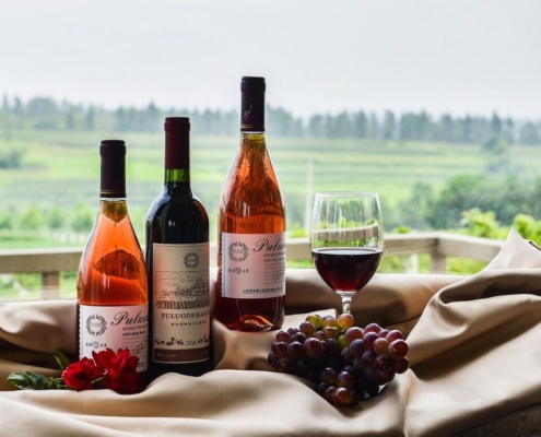 cape-lode-manor-wine-stockpack-pixabay.jpg cape lode, manor, wine, wine, wine, wine, wine, wine