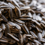 close-up of roasted salted sunflower seeds for sale