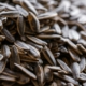 close-up-of-roasted-salted-sunflower-seeds-for-sale-stockpack-unsplash.jpg close-up of roasted salted sunflower seeds for sale