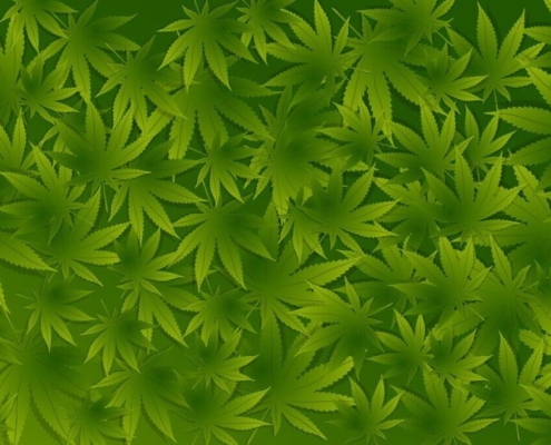 hemp-weed-nature-wallpaper-poster-stockpack-pixabay.jpg hemp, weed, nature, wallpaper, poster