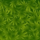 hemp-weed-nature-wallpaper-poster-stockpack-pixabay.jpg hemp, weed, nature, wallpaper, poster