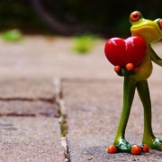 love-valentines-day-pose-heart-fun-frog-animal-figure-cute-stockpack-pixabay.jpg love, valentine's day, pose, heart, nature, fun, frog, animal, figure, cute