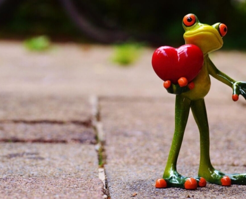 love-valentines-day-pose-heart-fun-frog-animal-figure-cute-stockpack-pixabay.jpg love, valentine's day, pose, heart, nature, fun, frog, animal, figure, cute