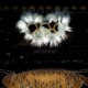 opening_ceremony_MilanoCortina2026