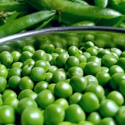 pea-vegetable-green-organic-healthy-food-vegetables-fresh-peas-natural-stockpack-pixabay.jpg pea, vegetable, green, organic, healthy, food, vegetables, fresh, peas, natural, peas, peas, peas, peas, peas