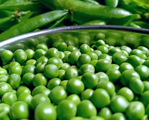 pea-vegetable-green-organic-healthy-food-vegetables-fresh-peas-natural-stockpack-pixabay.jpg pea, vegetable, green, organic, healthy, food, vegetables, fresh, peas, natural, peas, peas, peas, peas, peas