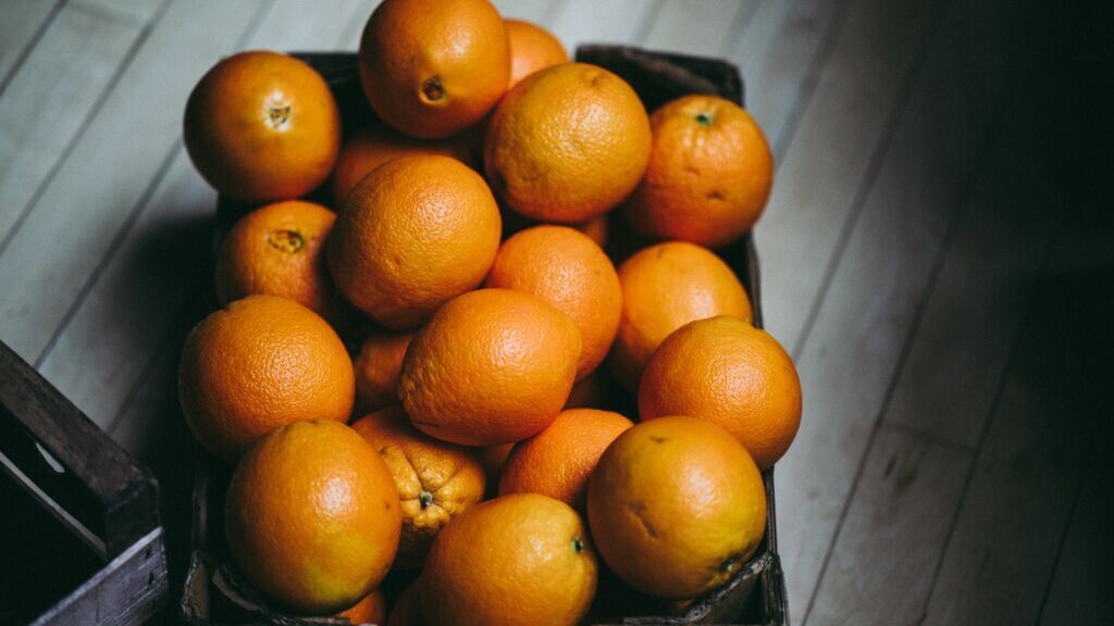 they-were-too-vibrant-to-not-snap-a-photo-stockpack-unsplash.jpg They were too vibrant to not snap a photo.