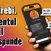Asistent_virtual_Hornbach